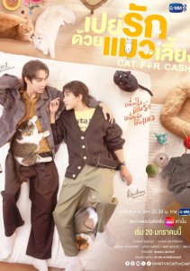 Кот за деньги